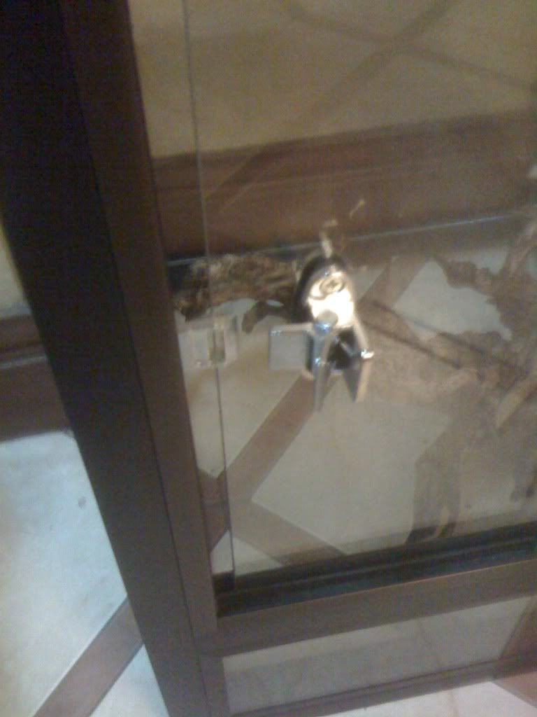 For Sale VivariumEnclosureAquariumCages For SaleJava Cebu